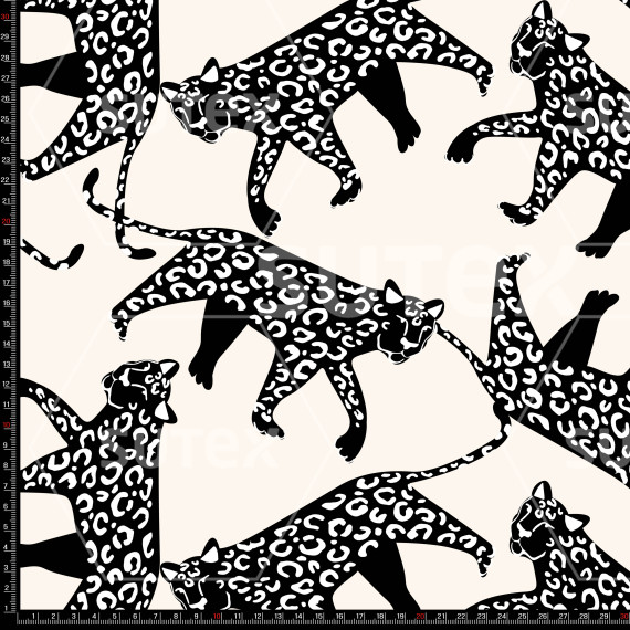 376239 LEOPARDS DRAWING 1 B