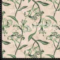 402379 LILY LINEAL 5 JR