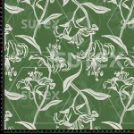 402378 LILY LINEAL 6 JR