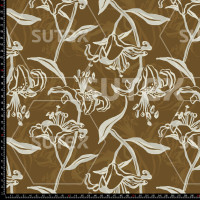 402376 LILY LINEAL JR