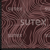 429139 TOPOGRAPHIC WATER DM