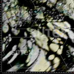 429979 EROSION 4 FS