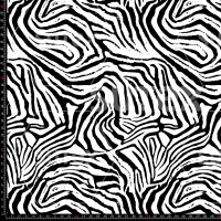 429178 AQ LINEAS ABSTRACTASBW AQ