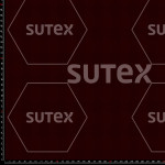 433689 MINI GALLINETO 2 YC