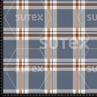 436207 CHECK PLAY 2 YC