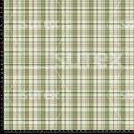 436239 FOREST PLAID YC