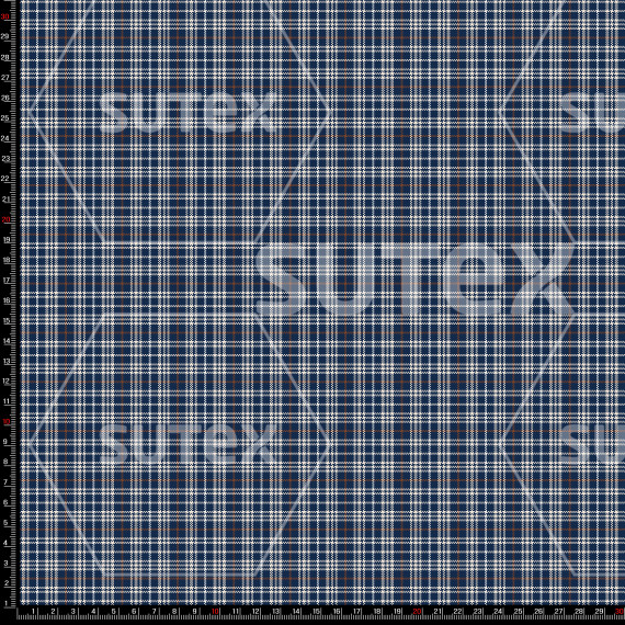 436246 STARRY NOCTURNE YC