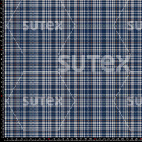 436246 STARRY NOCTURNE YC