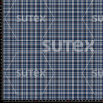 436246 STARRY NOCTURNE YC