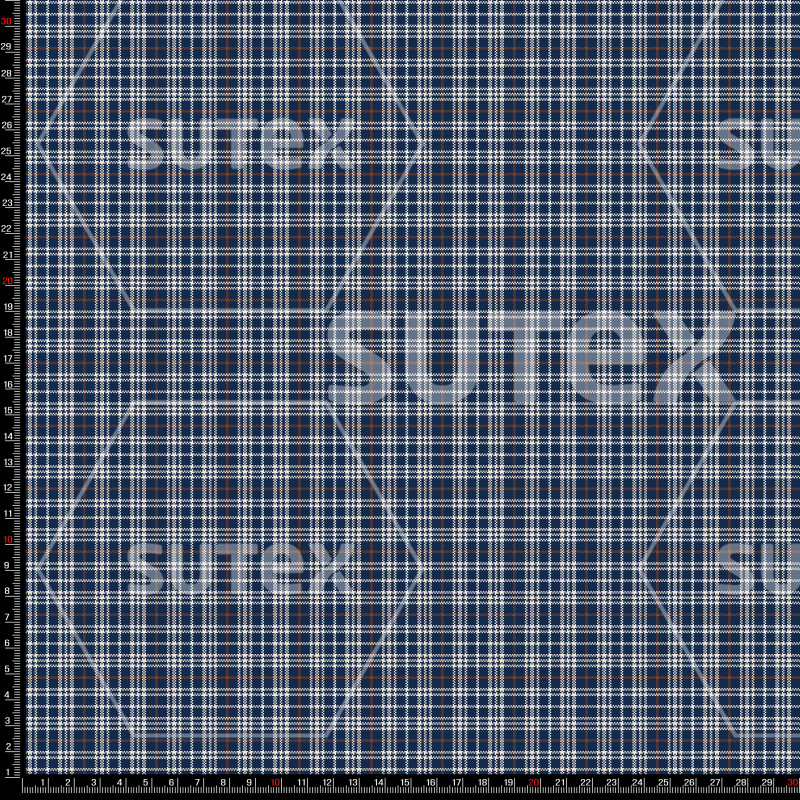 436246 STARRY NOCTURNE YC