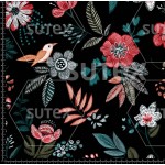 433832 AR OTONIAL COLORS AR