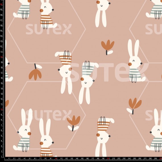 454906 BUNNI1 FS