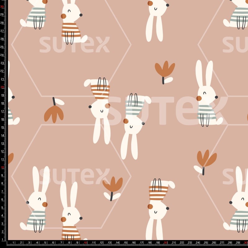 454906 BUNNI1 FS