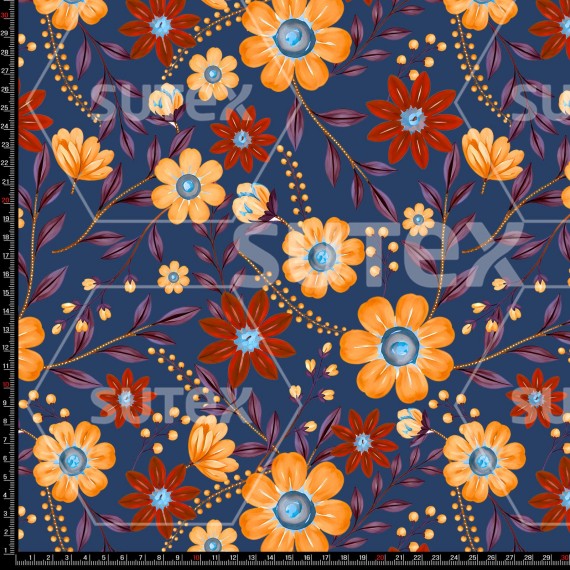 FLORRM2D FS