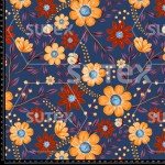 FLORRM2D FS